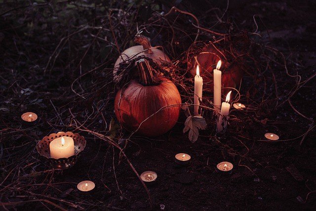 pumpkin halloween